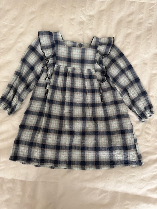 Zara Other - Zara Blue Plaid Toddler Dress